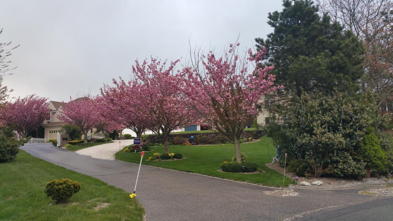 Inn 38 Oak Bluff Circle Plymouth Kültér fotó